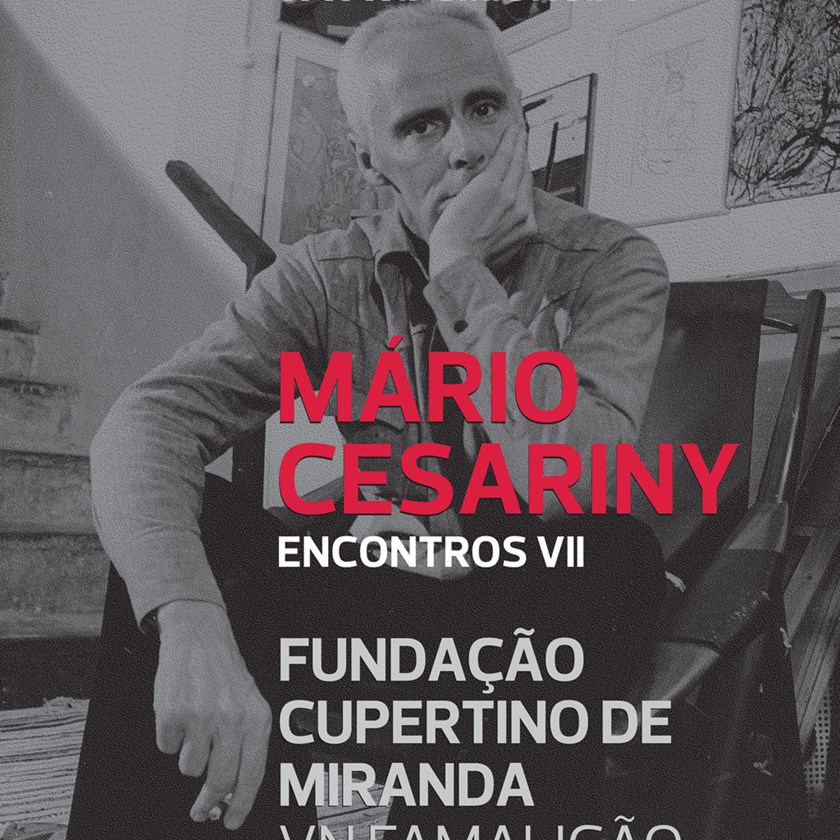 Mário Cesariny - Meetings VII