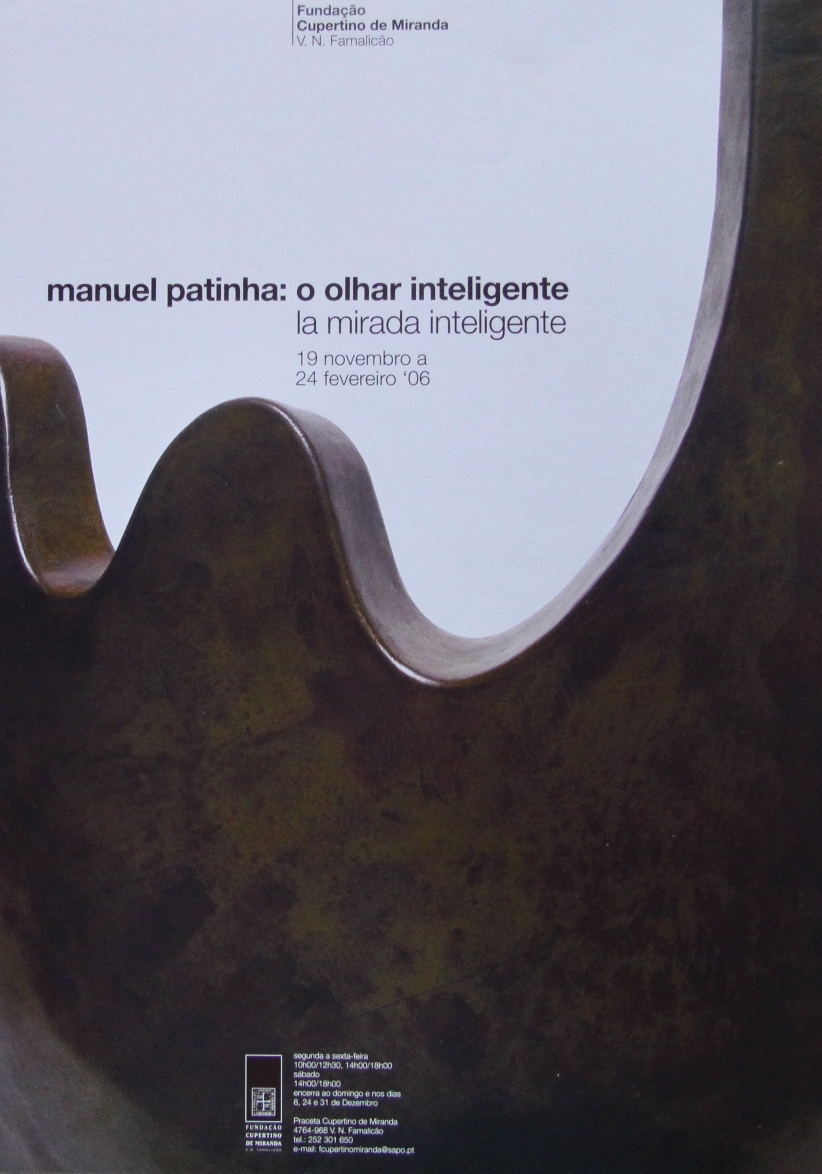 Manuel Patinha: o olhar inteligente 