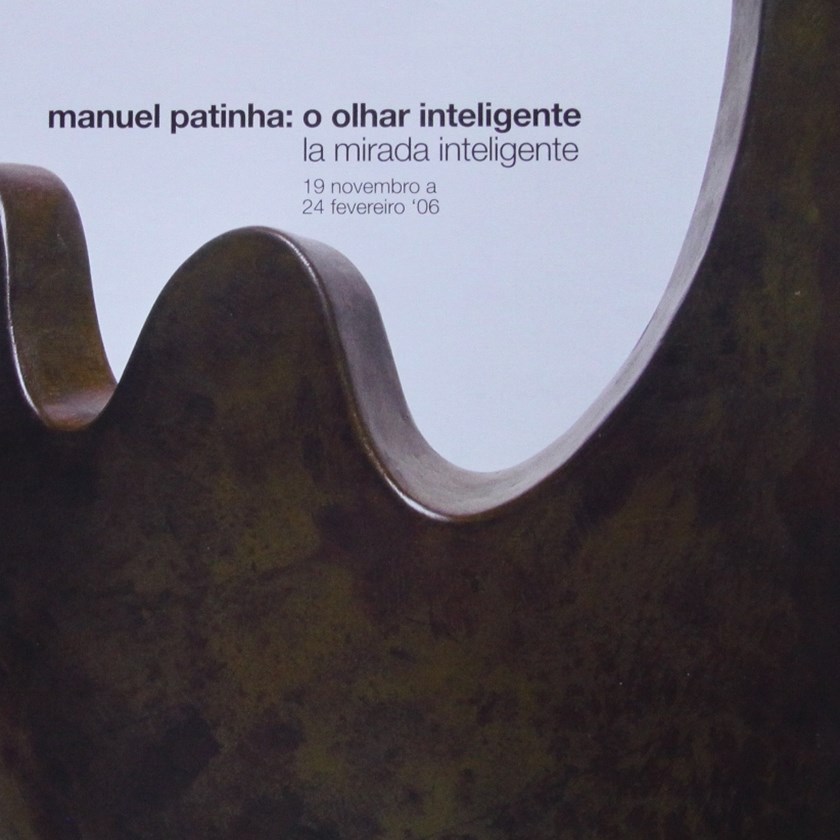 Manuel Patinha: o olhar inteligente