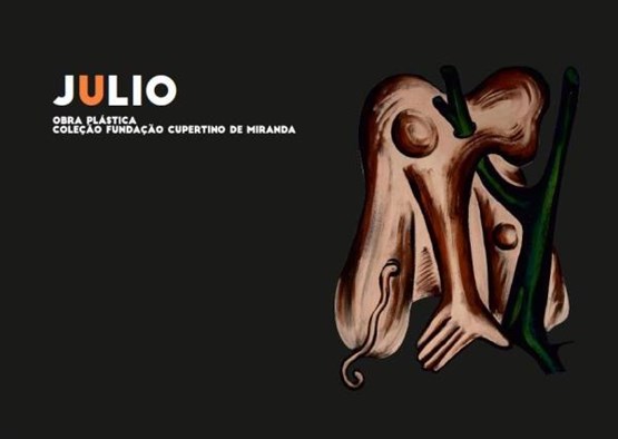 Julio, obra plástica, colecção Fundação Cupertino de Miranda 