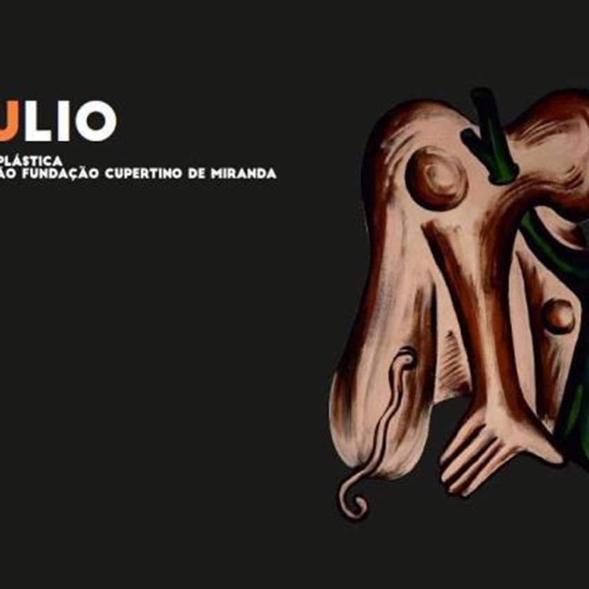Julio, obra plástica, colecção Fundação Cupertino de Miranda 