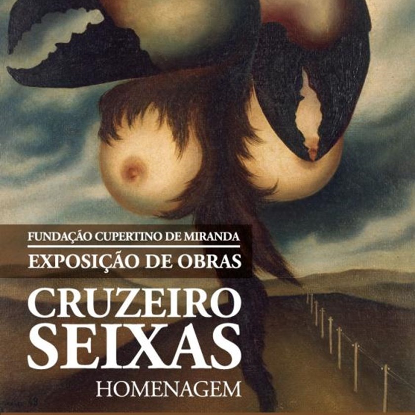 Colecção da Fundação Cupertino de Miranda - homenagem a Cruzeiro Seixas 