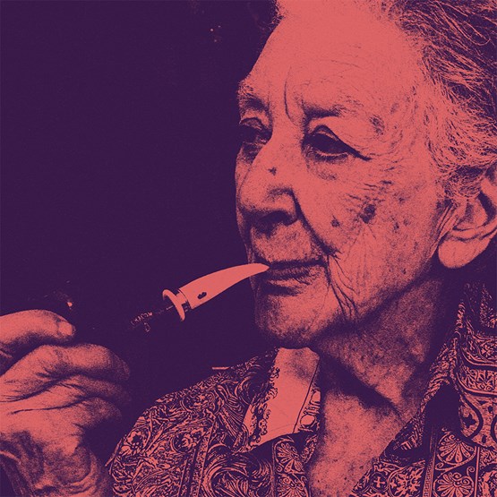 "Isabel Meyrelles - como a sombra a vida foge"