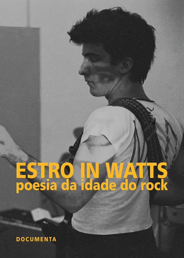 Estro In Watts