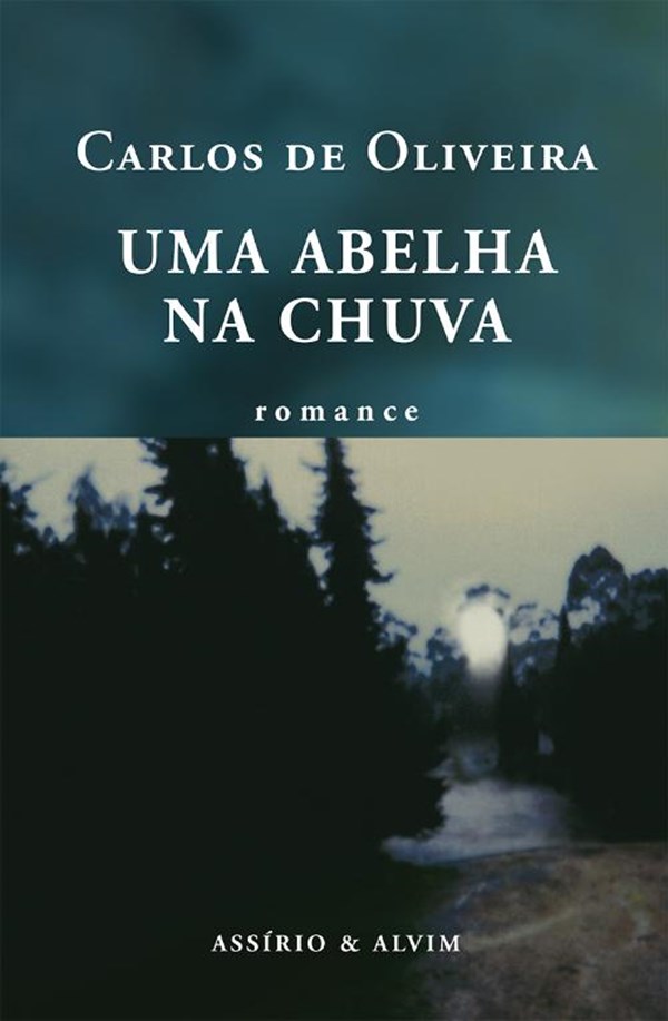 Uma Abelha na Chuva