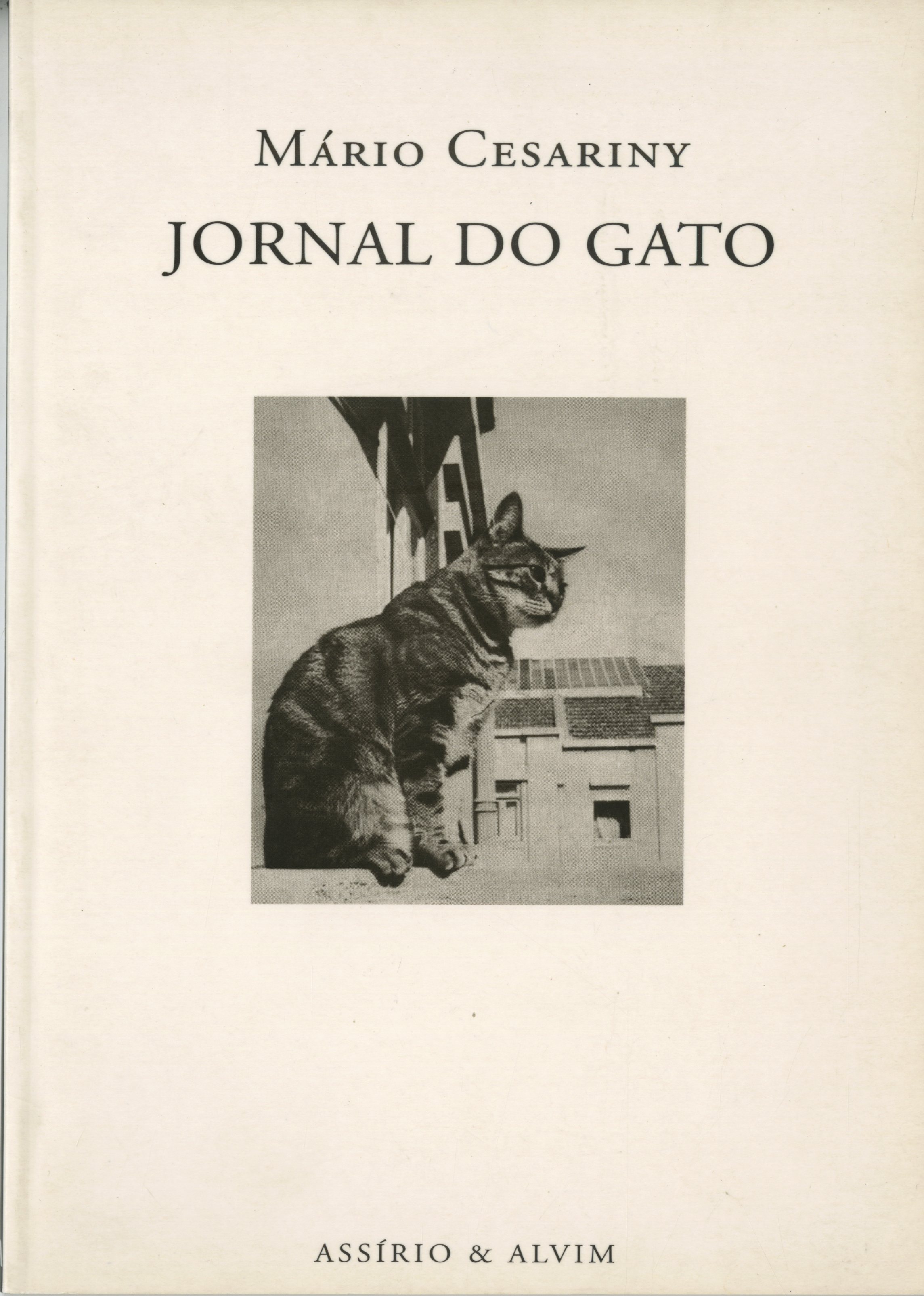 Jornal do Gato