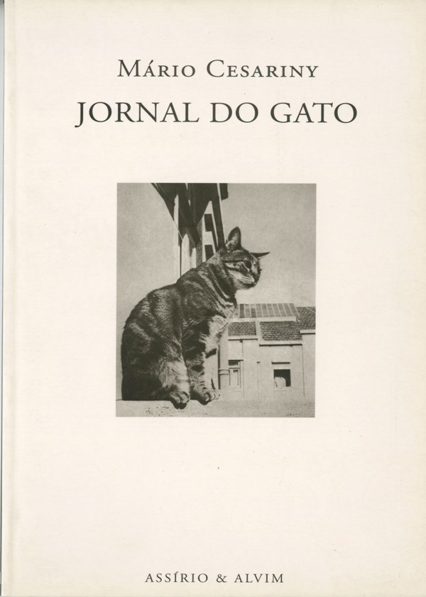 Jornal do Gato