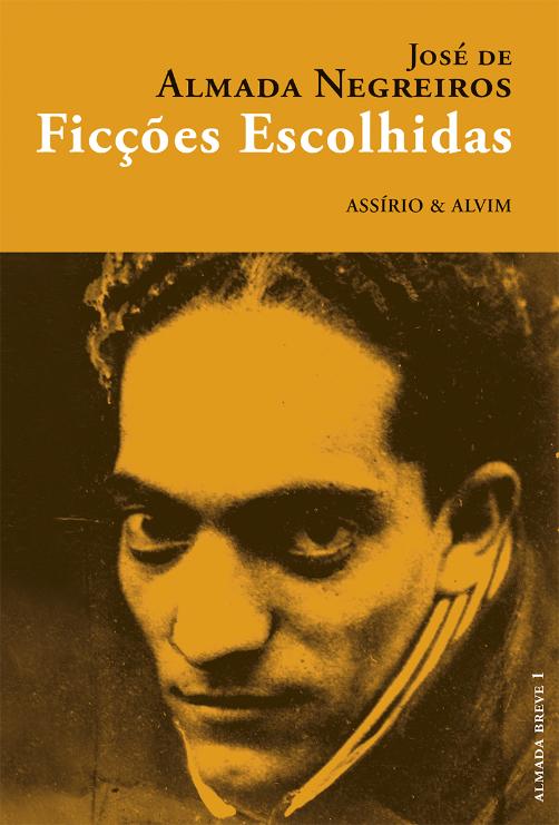 Ficções Escolhidas