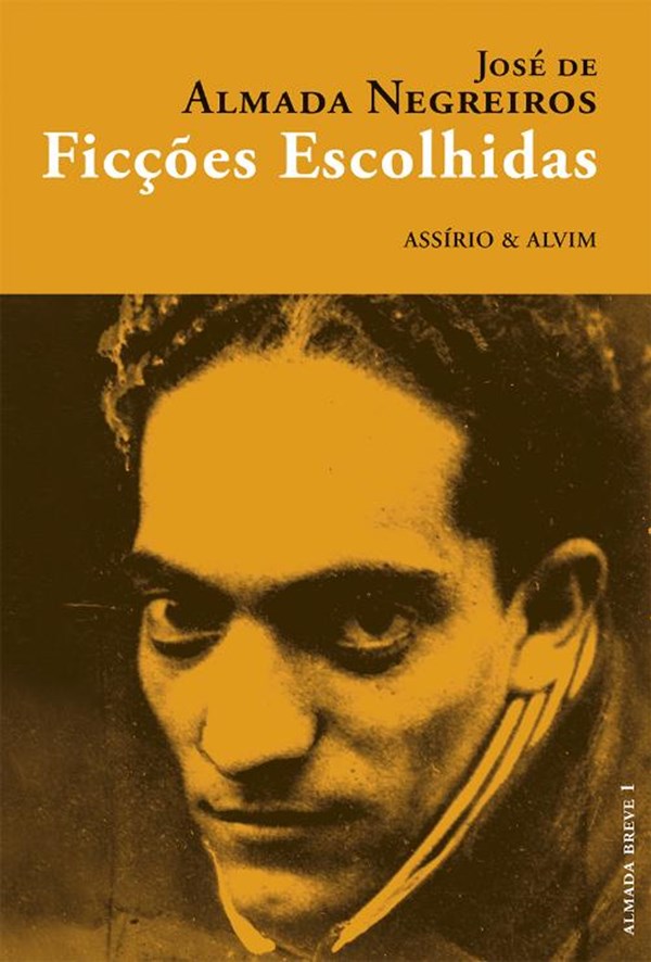 Ficções Escolhidas