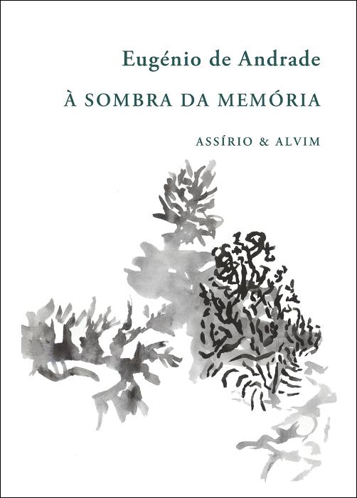 À Sombra da Memória