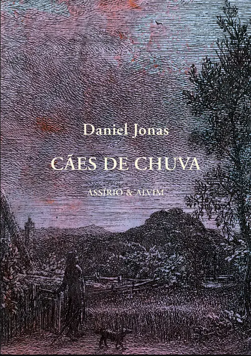 Cães de Chuva