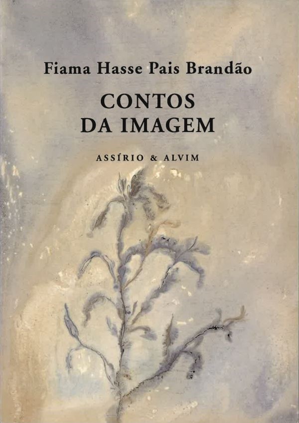 Contos da Imagem