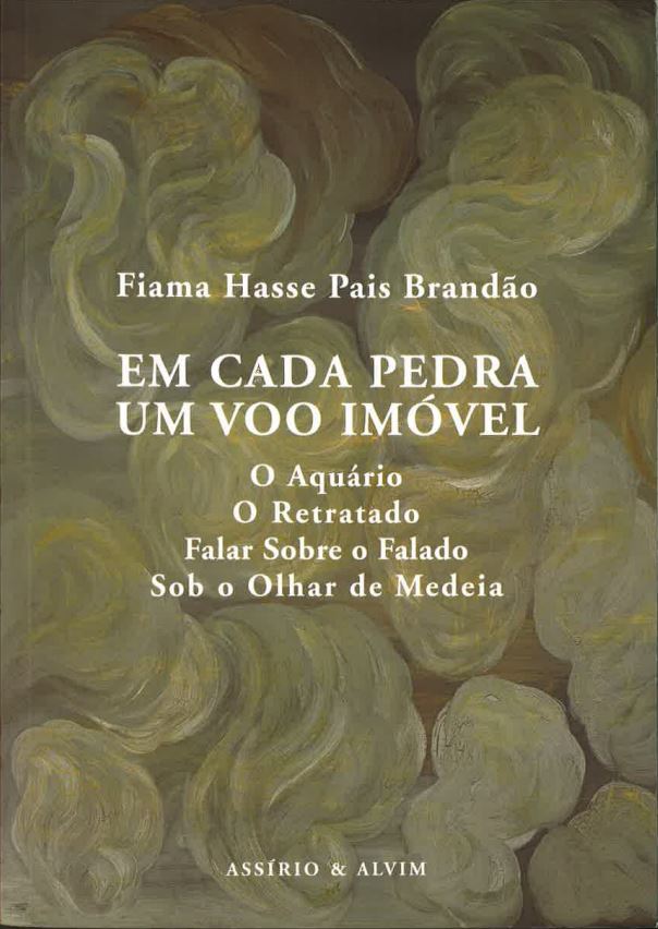 Em Cada Pedra Um Voo Imóvel