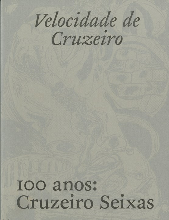 Velocidade de cruzeiro, 100 anos Cruzeiro Seixas