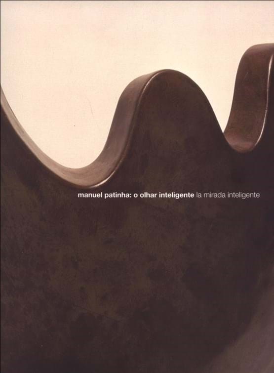 Manuel Patinha: o olhar inteligente