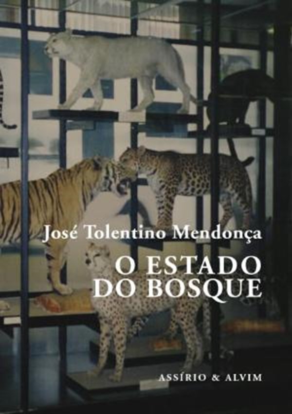 O Estado do Bosque O Estado do Bosque