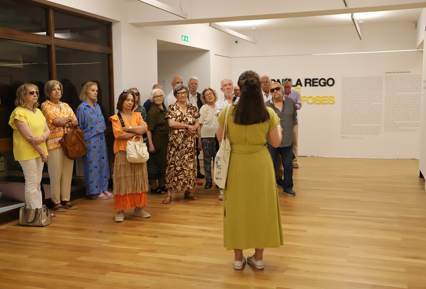 VISITAS ORIENTADAS VISITAS ORIENTADAS