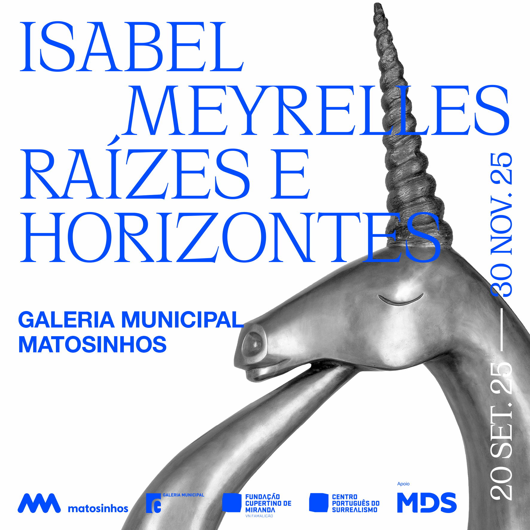 Roots and Horizons: Isabel Meyrelles