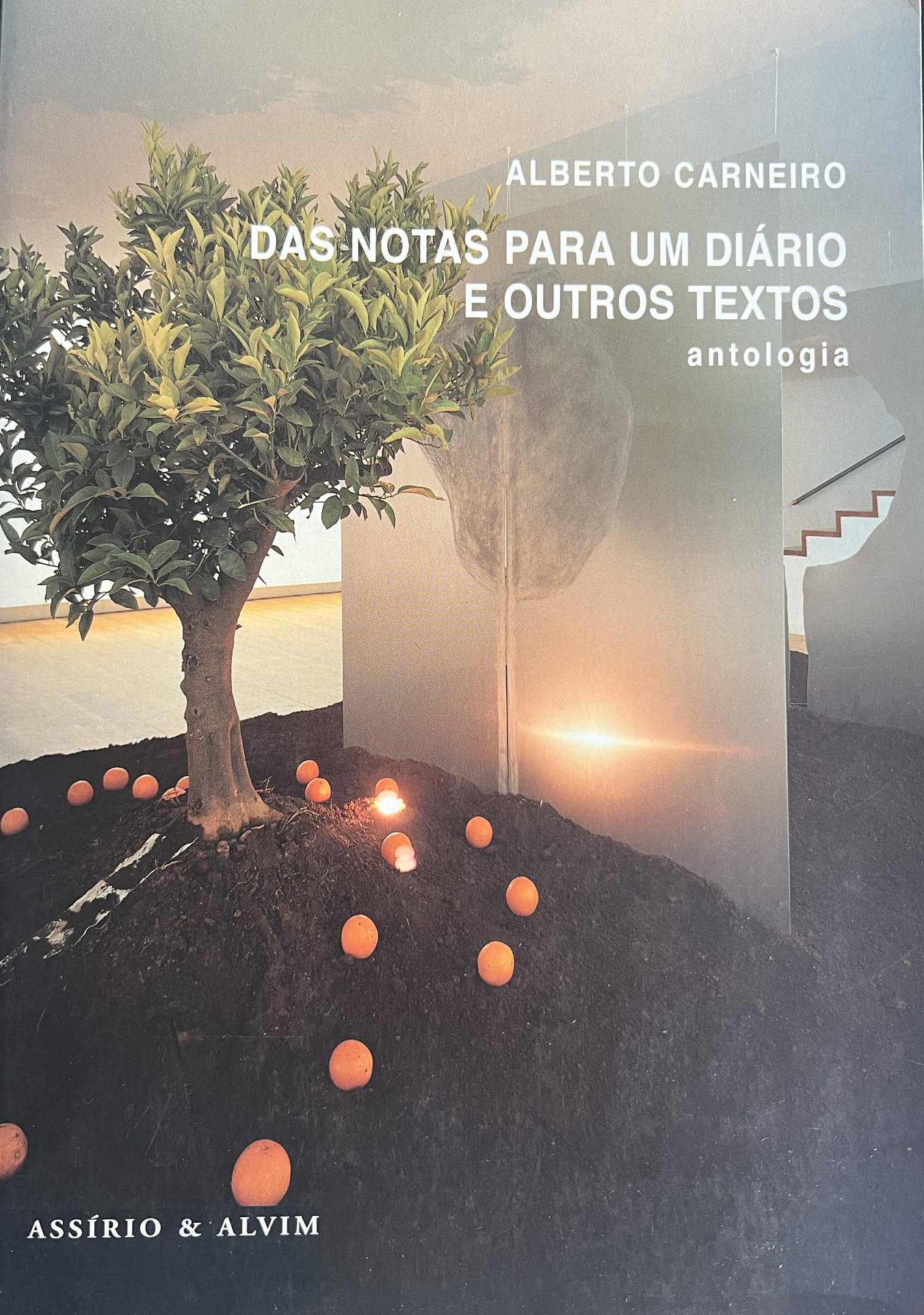 Das Notas Para Um Diário e Outros Textos